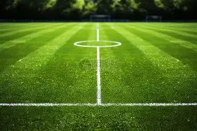 检方对何宗,黄强执行逮,捕措施,金贝娱乐官网,金贝娱乐品牌,金贝娱乐精彩