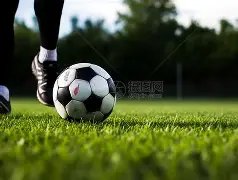 迪奥曼德加,盟顶级经纪,巨头,金贝娱乐官网,金贝娱乐品牌,金贝娱乐精彩