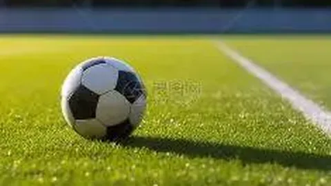 澳篮盛宴：野猫队19投14中，激战墨尔本联，战况如何揭晓？